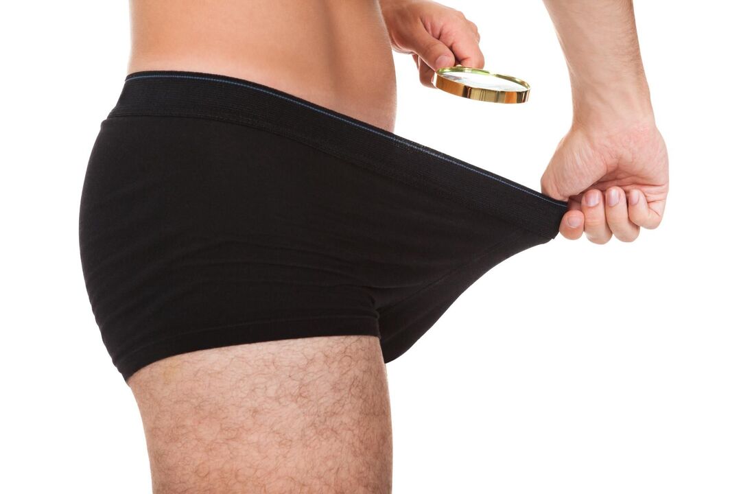 tamaño normal do órgano masculino